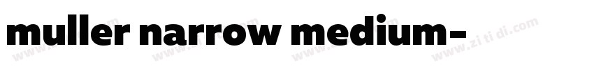 muller narrow medium字体转换